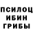Галлюциногенные грибы GOLDEN TEACHER Julie Pask