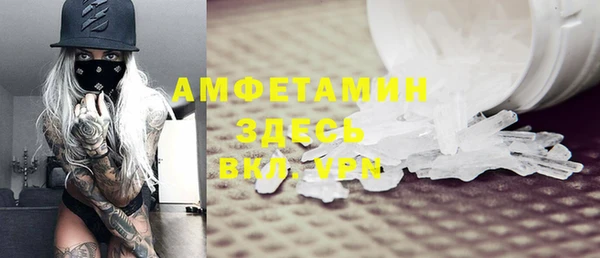 хмурый Алексин