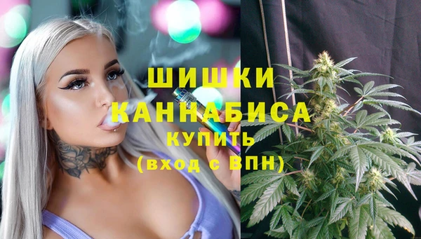 трава Арсеньев