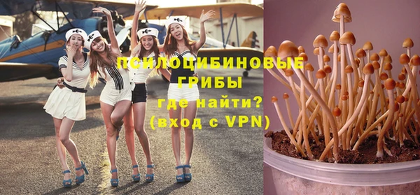 хмурый Алексин