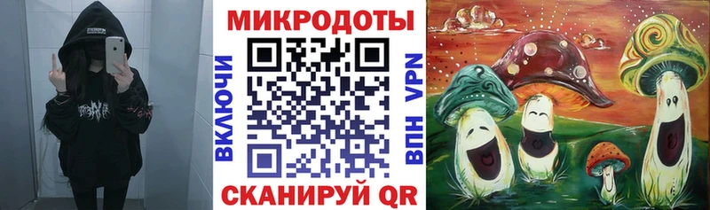 Псилоцибиновые грибы Cubensis  Чухлома 